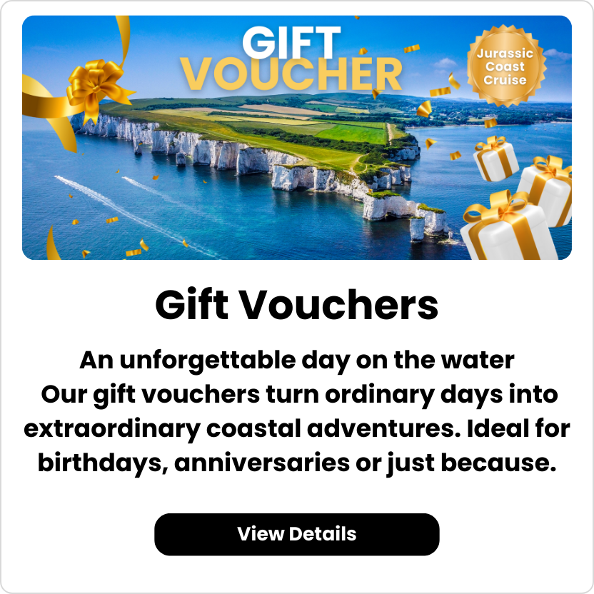 summer store clean-out (832 x 832 px) - 2026-01-21T134529.253