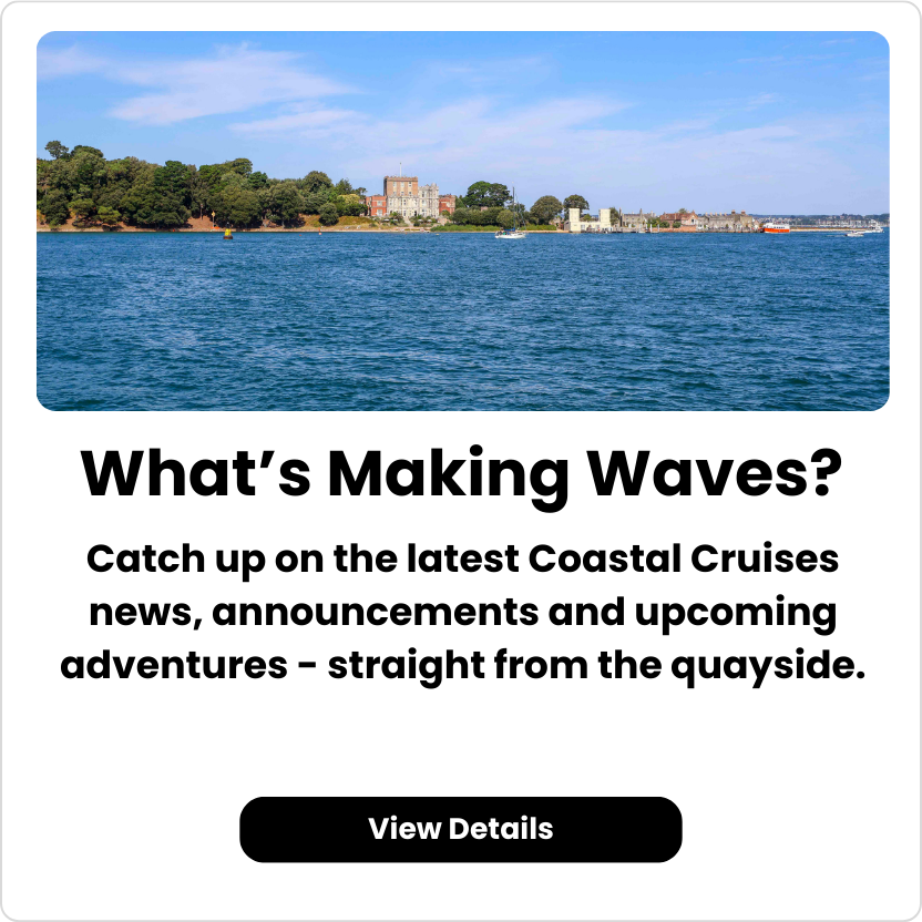 summer store clean-out (832 x 832 px) - 2026-01-21T134614.731