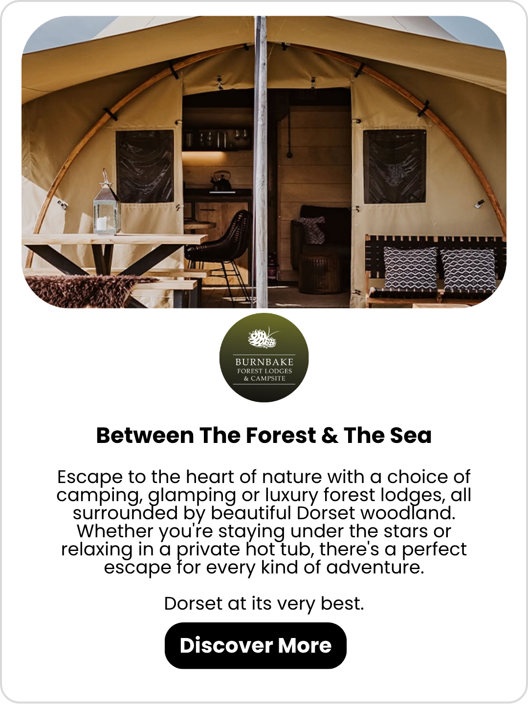 Burnbake Forest Lodges & Campsite Burnbake Forest Lodges & Campsite