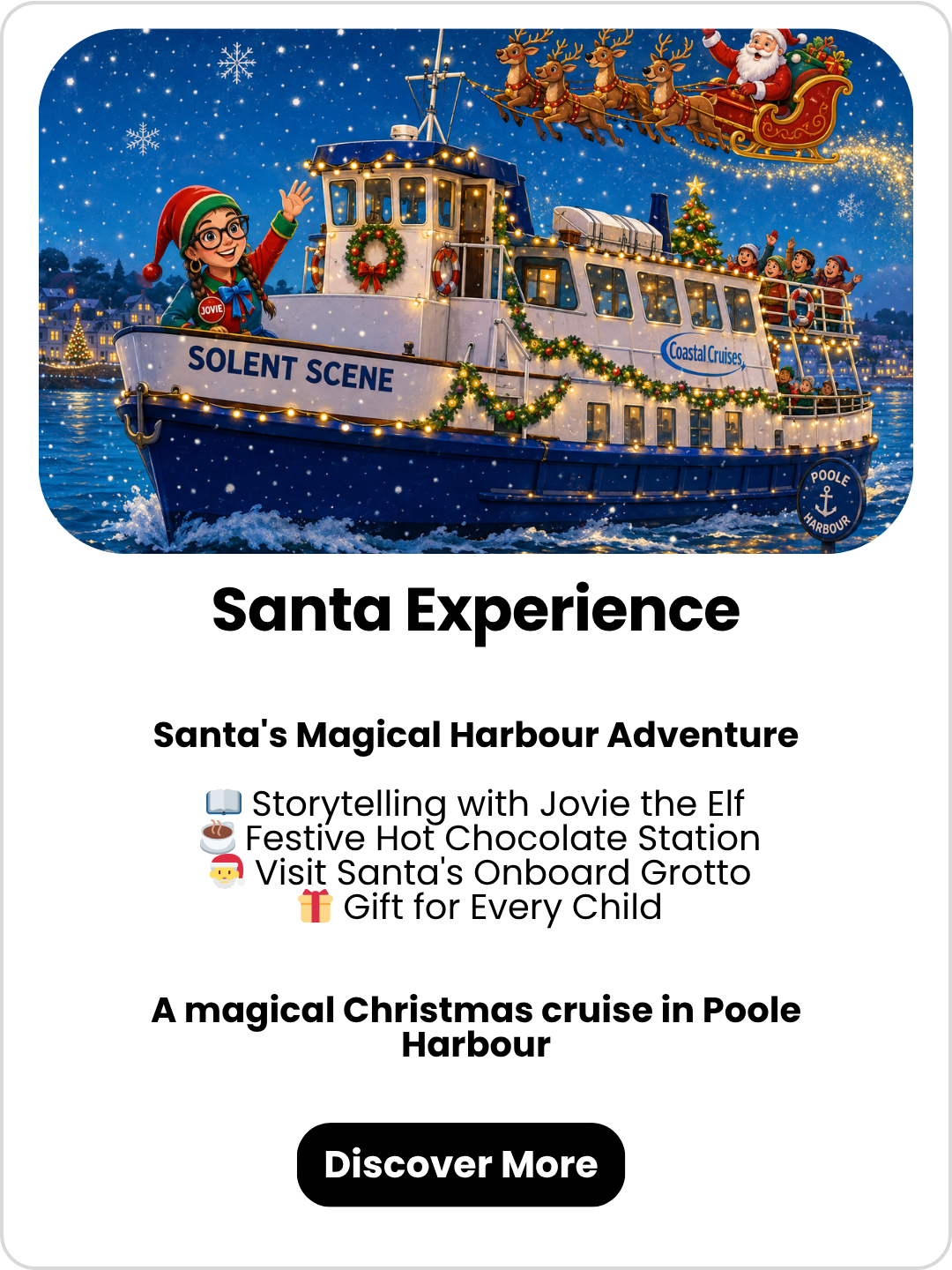 Santa Experience